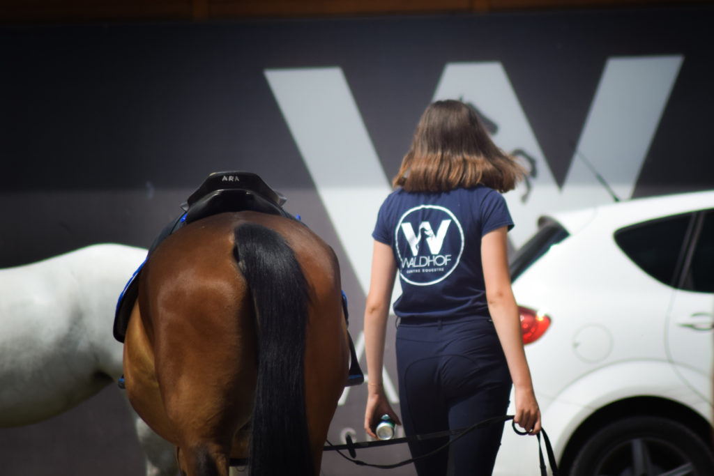 cours à poney au centre équestre de Waldhof Strasbourg